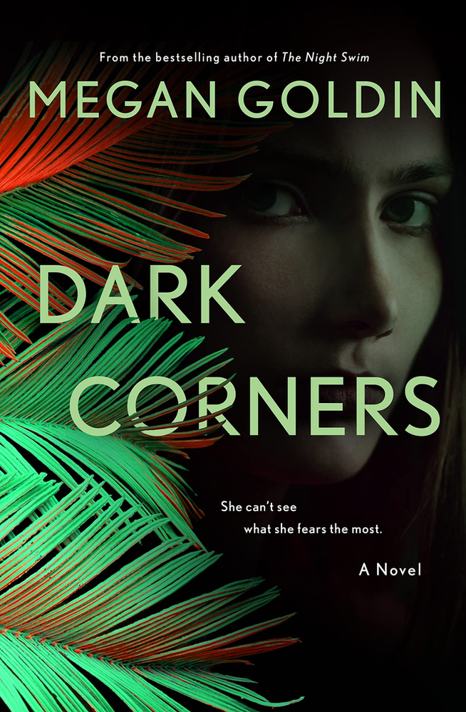 Cover of "Dark Corners" by Megan Goldin